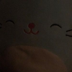 Meet your Posher, Deisy